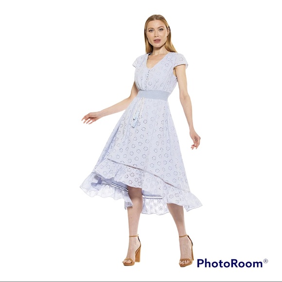 Alexia Admor Dresses & Skirts - NWT Alexia Admor Minnie V Neck Eyelet Dress